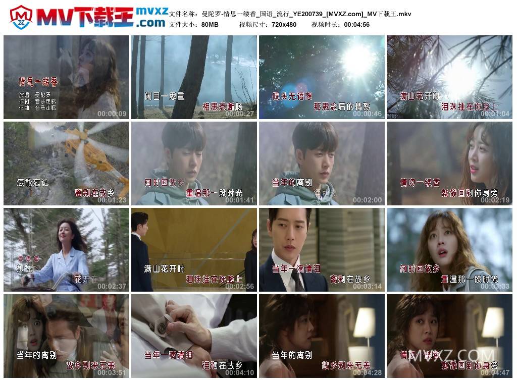 曼陀罗-情思一缕香_国语_流行_YE200739